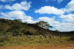 Национальные парки и заповедники Кении, Кения