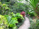 Тропический ботанический сад Синлун, Хайнань, Китай