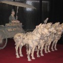 Музей терракотовых статуй коней и воинов
