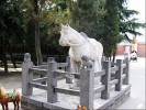Храм Белой Лошади (Баймасы), Лоян, Китай