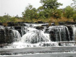 Национальный парк Комоэ. Кот-д’Ивуар → Природа