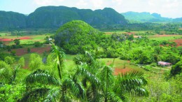Долина Виньялес. Куба → Пинар-дель-Рио → Природа