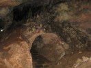 Пещера Бельямар, Мантанзас, Куба